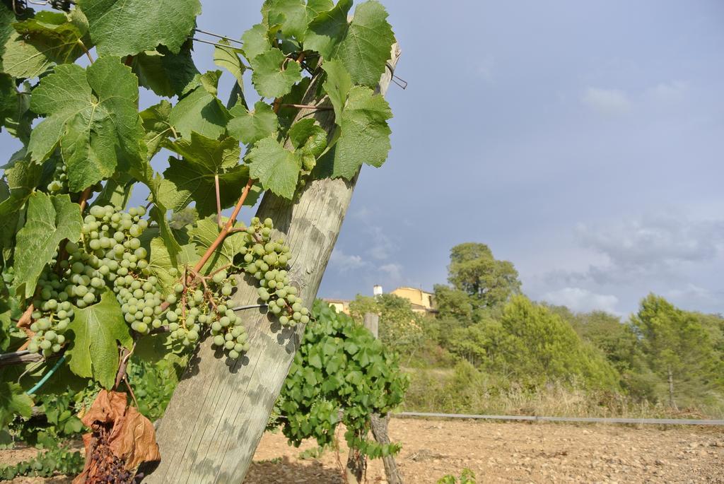 Olesa de Bonesvalls Maset Del Garraf旅馆 外观 照片
