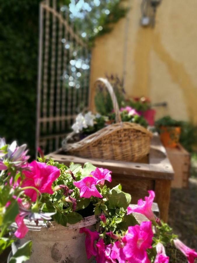 Olesa de Bonesvalls Maset Del Garraf旅馆 外观 照片